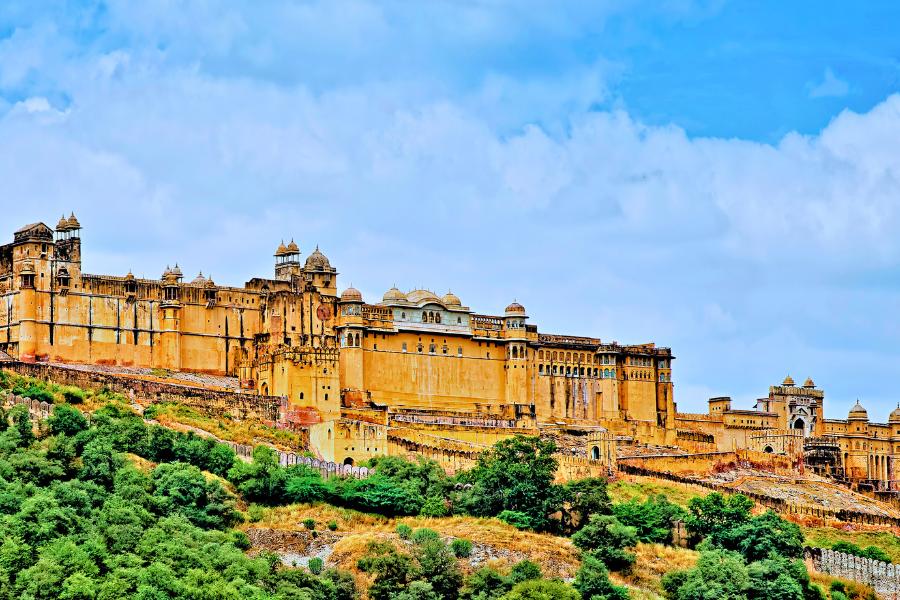Ranthambore