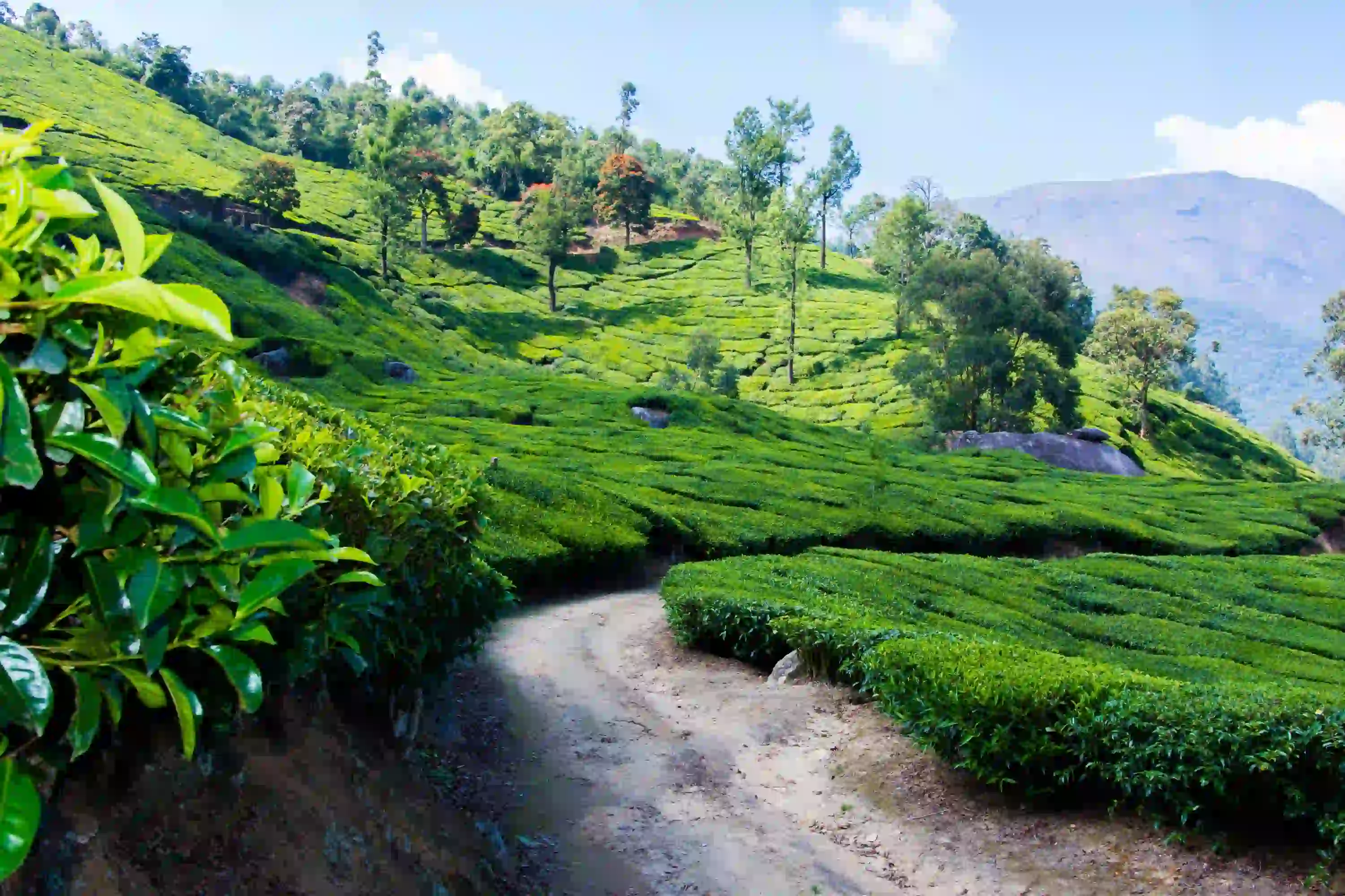 Delhi Agra Jaipur Kerala Tour – 12 Days